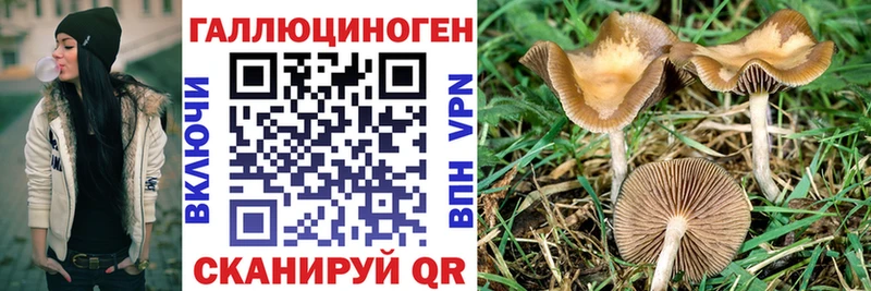 Галлюциногенные грибы MAGIC MUSHROOMS Купить закладки Волгодонск